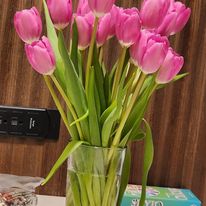 May be an image of flower